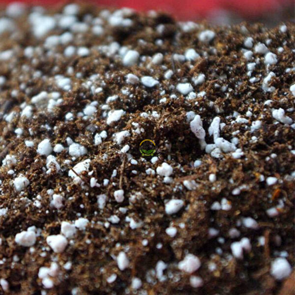 Fidan Sepetim Torf ve Toprak