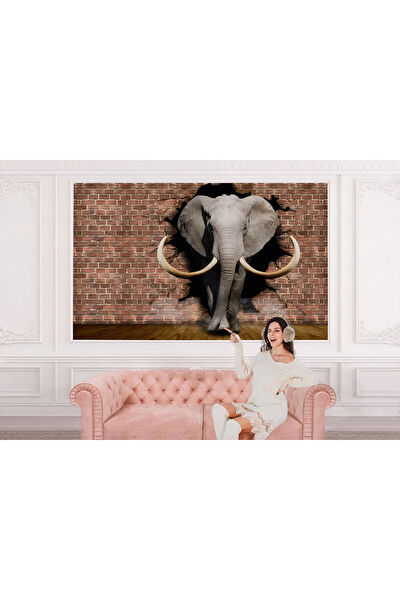 Oxyteez Duvar Kağıdı