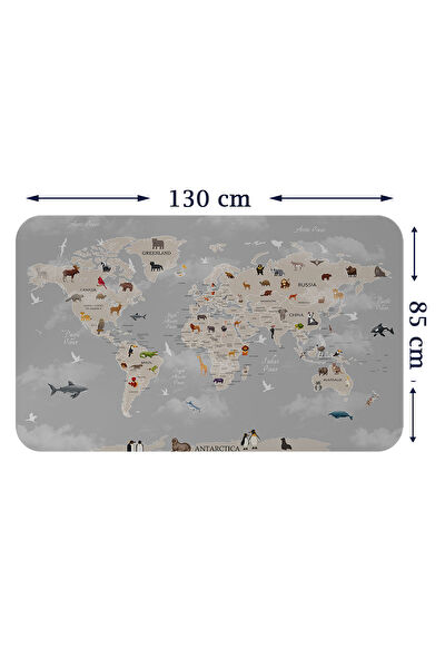 Oxyteez Duvar Süsleri