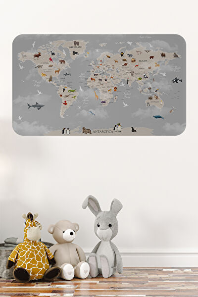 Oxyteez Duvar Süsleri