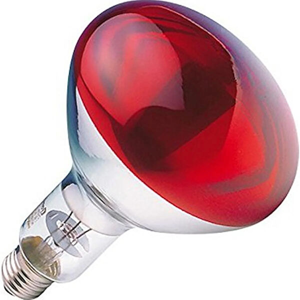 Philips Halojen Ampul