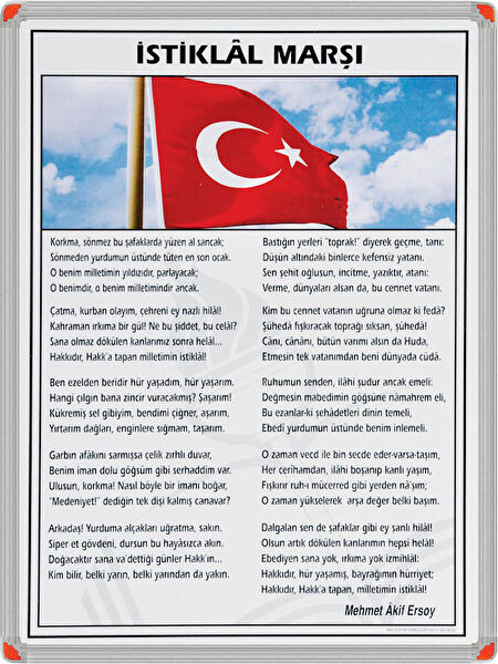 Panda Atatürk Portresi