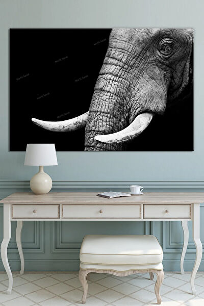 Morfil Sanat Atölyesi Kanvas Tablo