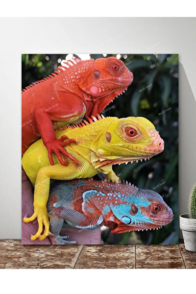 Morfil Sanat Atölyesi Kanvas Tablo