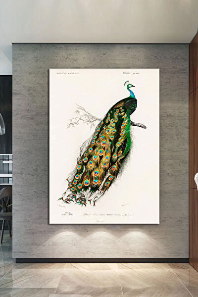 Morfil Sanat Atölyesi Kanvas Tablo