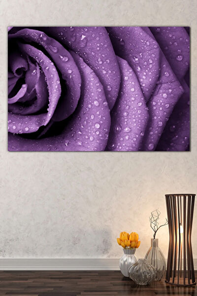 Morfil Sanat Atölyesi Kanvas Tablo