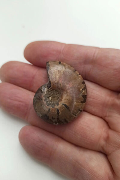 Pozitif Doğal Taş Dekoratif Obje, Biblo, Figür