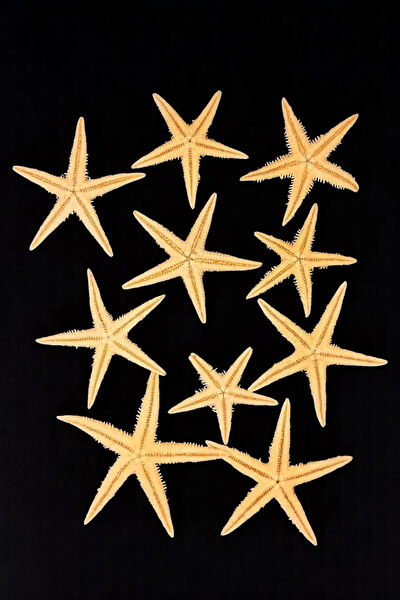 Pozitif Doğal Taş Dekoratif Obje, Biblo, Figür