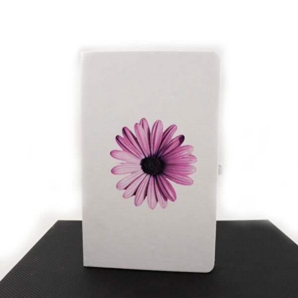 Pigado Defter, Ajanda