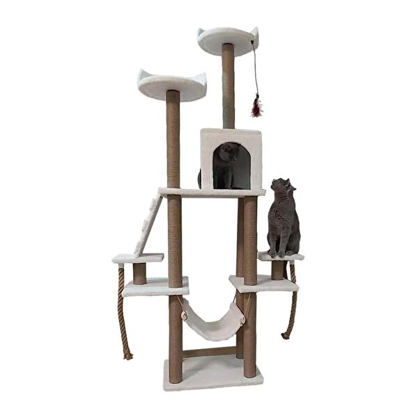 PETHOMEALPİ Kedi Tırmalama