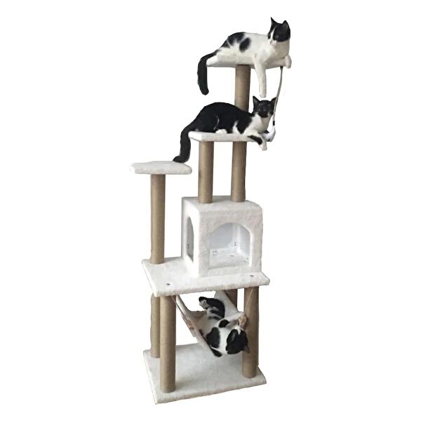 PETHOMEALPİ Kedi Tırmalama