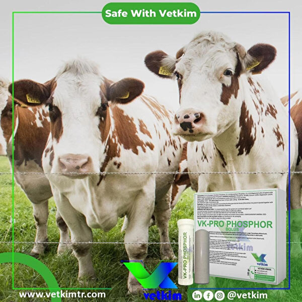 VETKİM At Bakım ve Sağlık Ürünleri