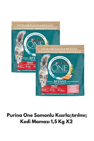 Purina One Kedi Maması