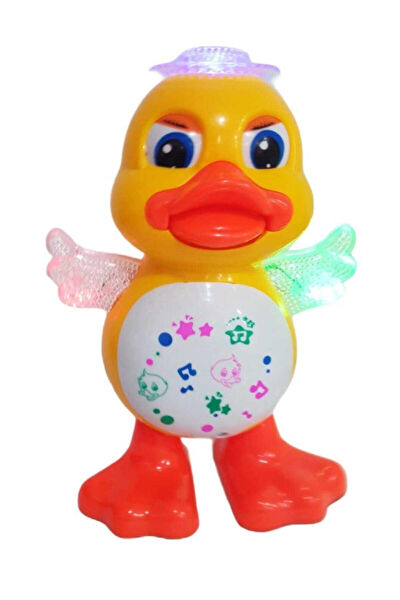 Erzi Eğitici Oyuncaklar