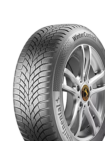 Continental Oto Lastikler (195/65R15)