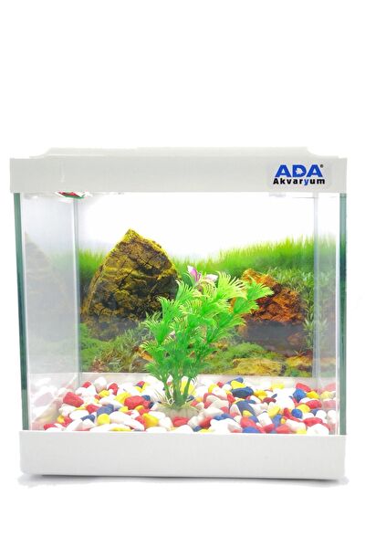 Ada Akvaryum Akvaryum