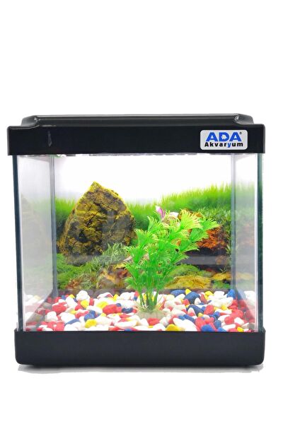 Ada Akvaryum Akvaryum