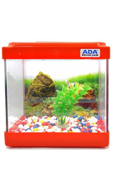 Ada Akvaryum Akvaryum