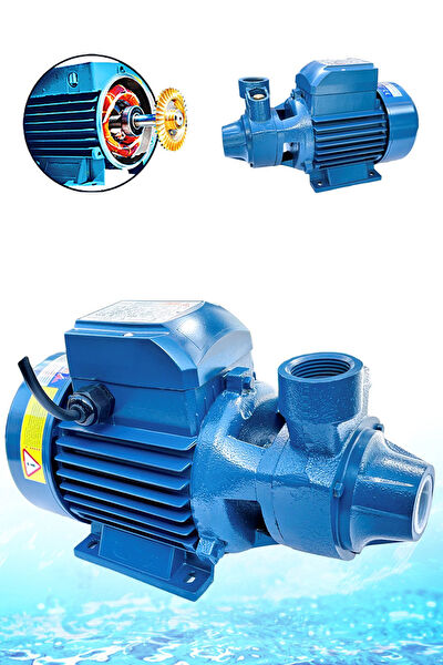 Germany Style Hidrofor, Pompa