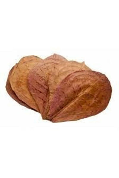 Ada Akvaryum Balık Yemi