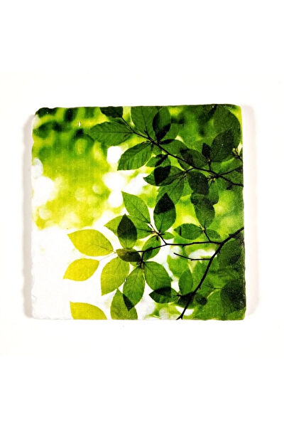 Şeker Portakalım Duş Kanalı, Süzgeç