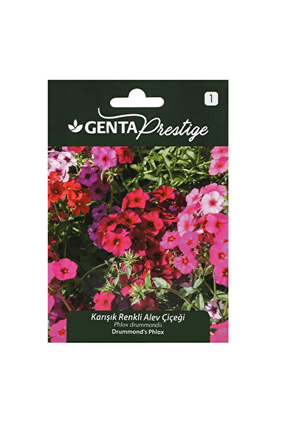 Genta Prestige Tohum