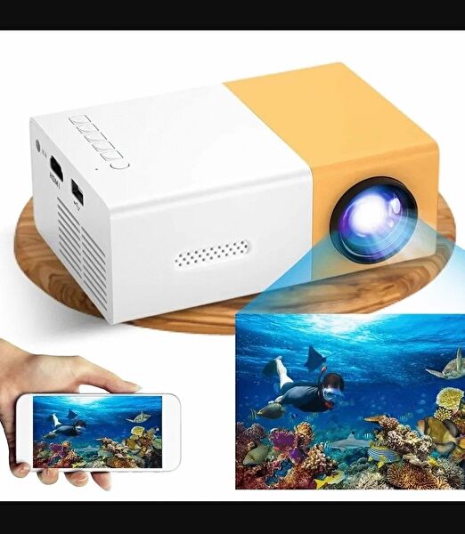 Blue İnter Ev Sinema Sistemleri