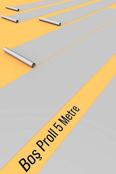 Proll Resim Defteri, Kağıtları