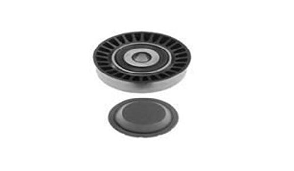 Peugeot Alternatör Rulmanı