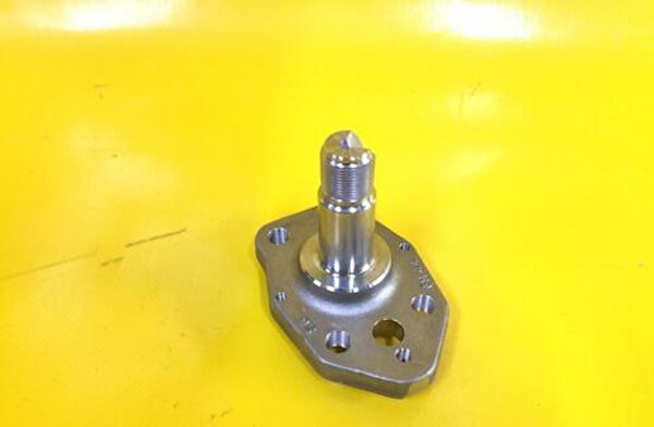 Peugeot Aks Körük & Kafası