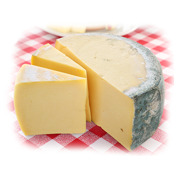 Altınkılıç Peynir