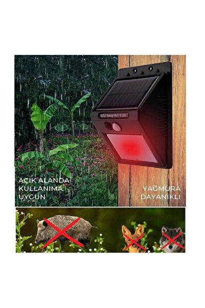 Panther Güneş Enerjili Aydınlatma