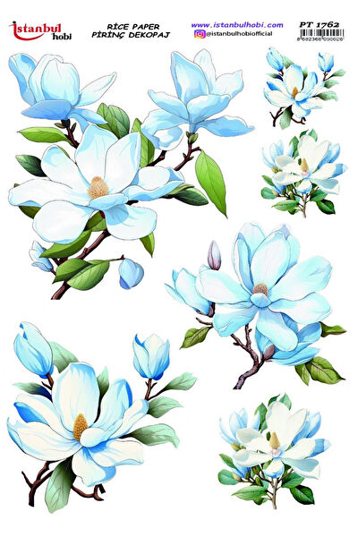 Istanbul Hobi Yardımcı Sanat Ürünleri