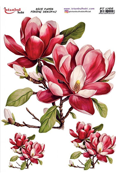 Istanbul Hobi Yardımcı Sanat Ürünleri