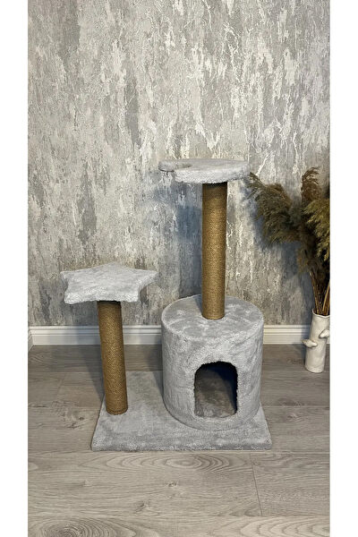 Petzilla Kedi Tırmalama