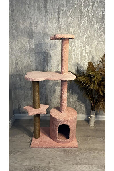 Petzilla Kedi Tırmalama