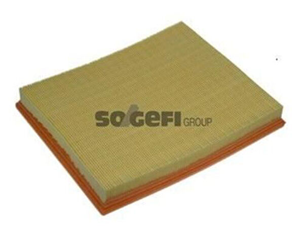 Purflux Hava Filtreleri