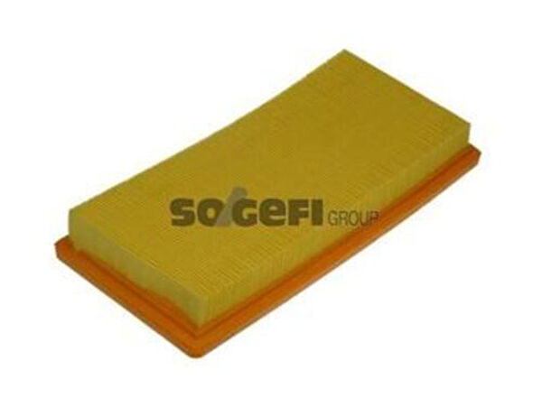 Purflux Hava Filtreleri