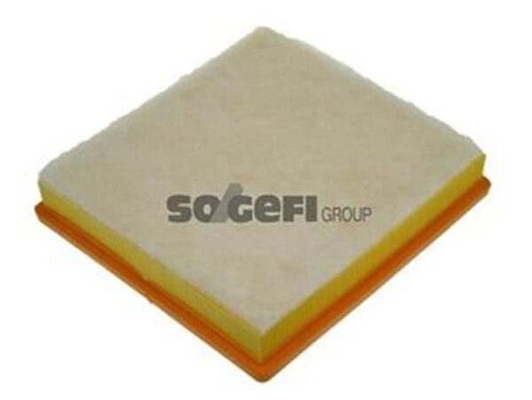 Purflux Hava Filtreleri