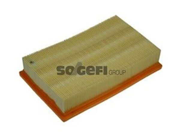 Purflux Hava Filtreleri