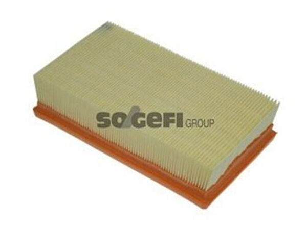 Purflux Hava Filtreleri