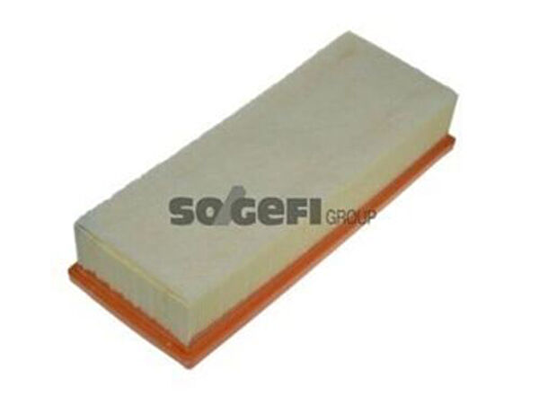 Purflux Hava Filtreleri