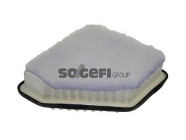 Purflux Hava Filtreleri