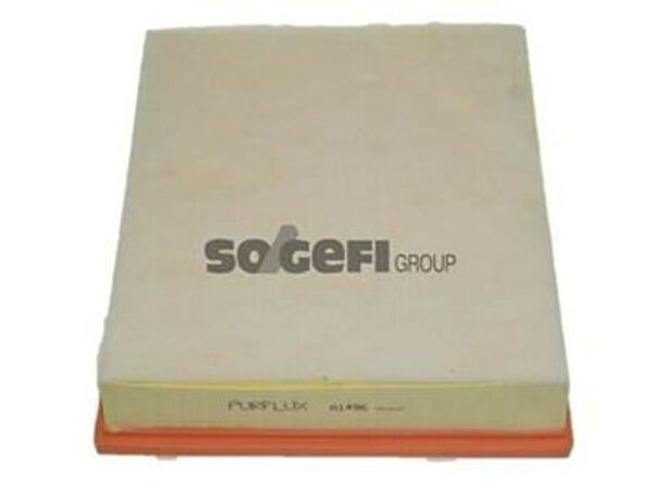 Purflux Hava Filtreleri