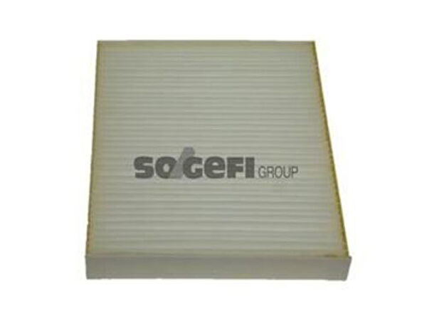 Purflux Polen Filtreleri