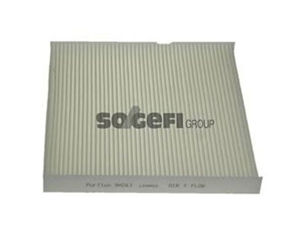 Purflux Polen Filtreleri