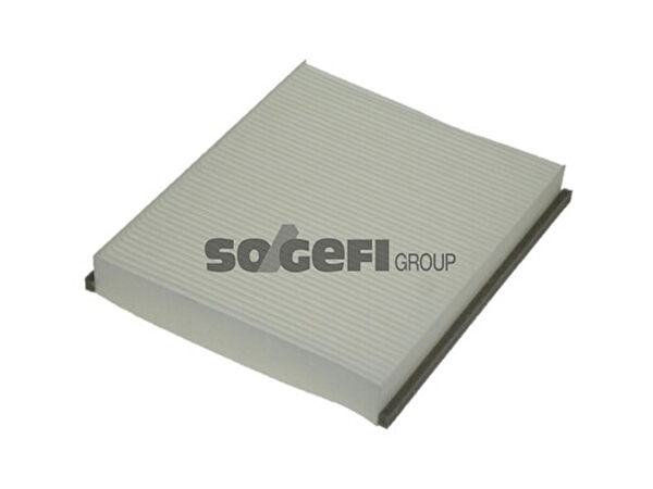 Purflux Polen Filtreleri