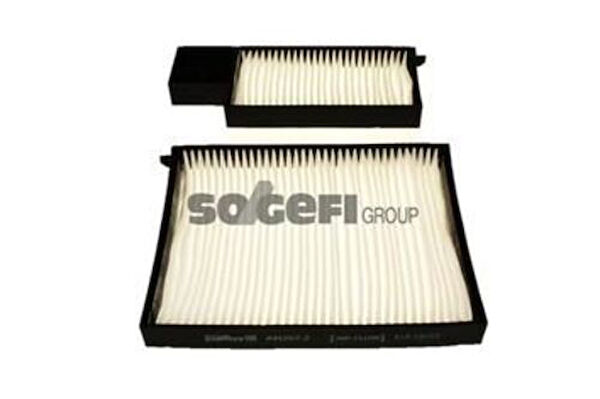 Purflux Polen Filtreleri