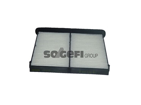 Purflux Polen Filtreleri