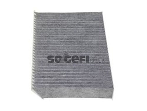 Purflux Polen Filtreleri